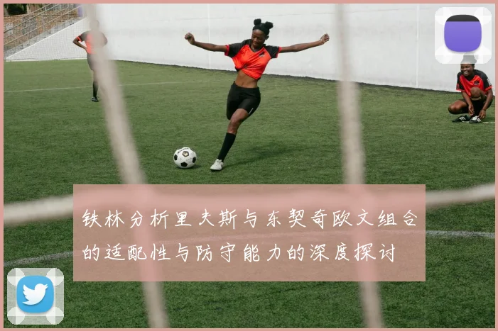 铁林分析里夫斯与东契奇欧文组合的适配性与防守能力的深度探讨